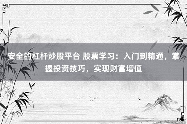 安全的杠杆炒股平台 股票学习：入门到精通，掌握投资技巧，实现财富增值