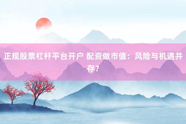 正规股票杠杆平台开户 配资做市值：风险与机遇并存？