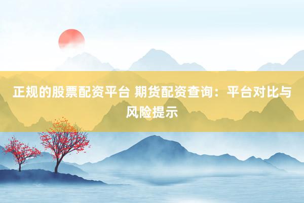 正规的股票配资平台 期货配资查询：平台对比与风险提示