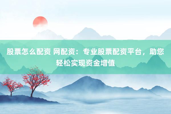股票怎么配资 网配资：专业股票配资平台，助您轻松实现资金增值