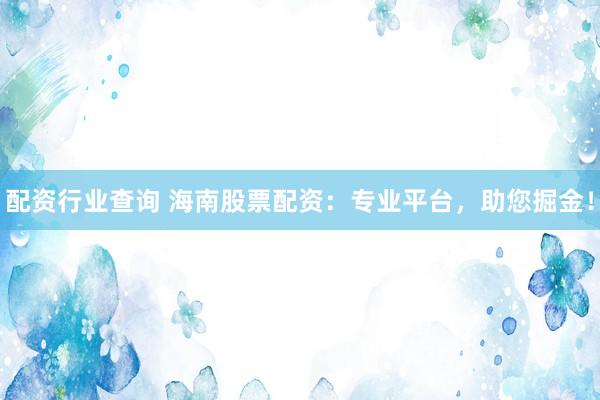配资行业查询 海南股票配资：专业平台，助您掘金！