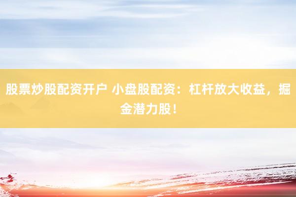 股票炒股配资开户 小盘股配资：杠杆放大收益，掘金潜力股！