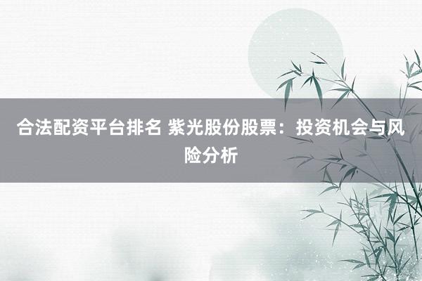 合法配资平台排名 紫光股份股票：投资机会与风险分析