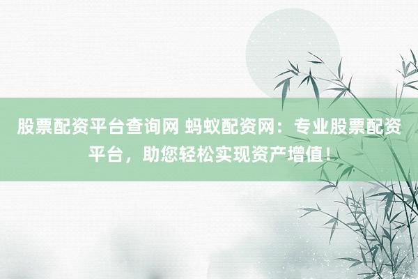 股票配资平台查询网 蚂蚁配资网：专业股票配资平台，助您轻松实现资产增值！