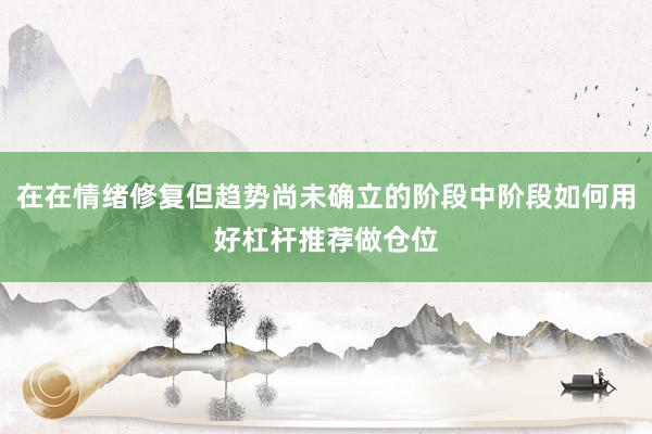 在在情绪修复但趋势尚未确立的阶段中阶段如何用好杠杆推荐做仓位