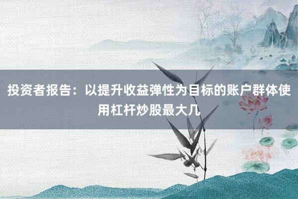 投资者报告：以提升收益弹性为目标的账户群体使用杠杆炒股最大几