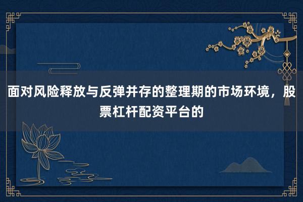 面对风险释放与反弹并存的整理期的市场环境，股票杠杆配资平台的