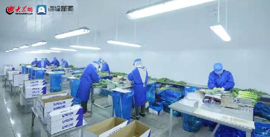 “诸味超然”十大名优农产品企业风采录丨诸城元康食品:打造特色产业链,促进三产融合发展