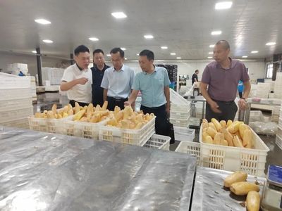 【走出去】市农业农村局招商专班拜访湖北华贵食品集团